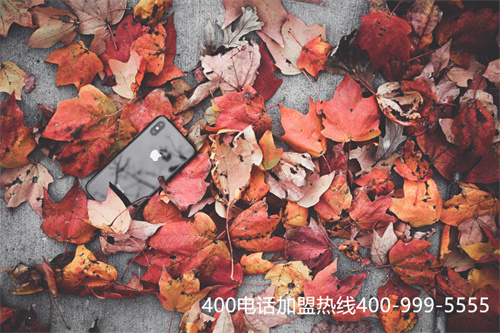 (開個400電話要多少錢)(400開頭的電話能接嗎)
