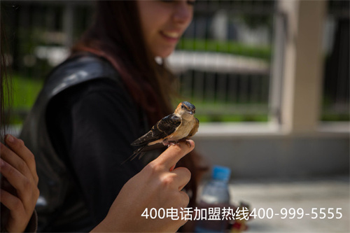 (400電話呼叫轉(zhuǎn)移設(shè)置)(400電話具備哪些實(shí)用功能？)
